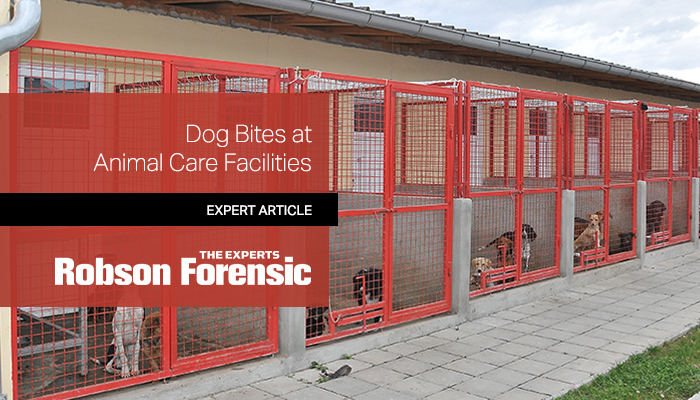 Dog Bite Expert Witness - Animal Care Facilities