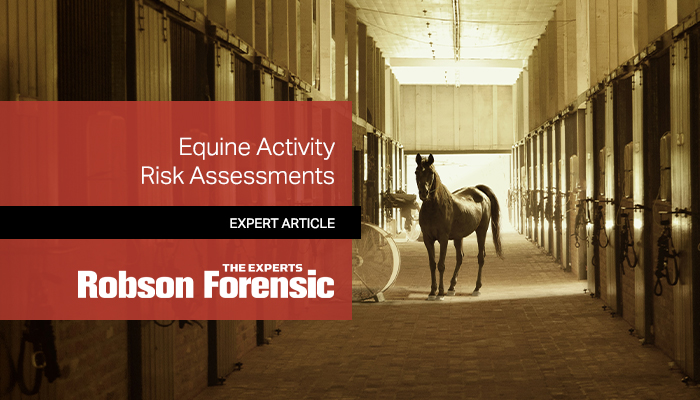 Equine risk assessment expert