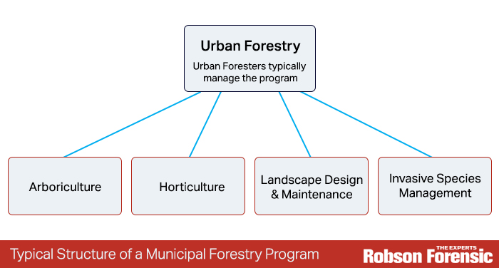 Municipal Forestry Program Expert Diagram