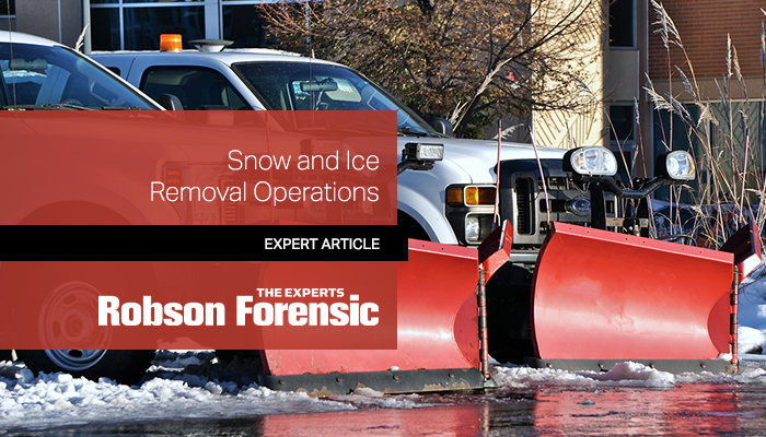 Snow Plow Expert Witness